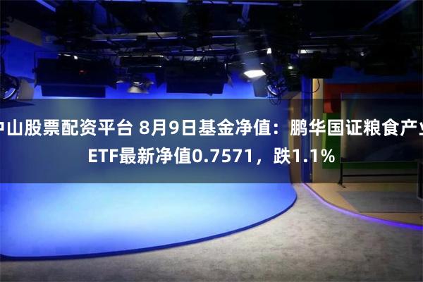 中山股票配资平台 8月9日基金净值：鹏华国证粮食产业ETF最新净值0.7571，跌1.1%