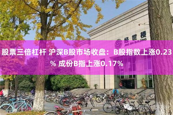 股票三倍杠杆 沪深B股市场收盘：B股指数上涨0.23% 成份B指上涨0.17%