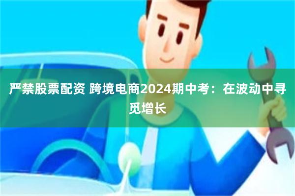 严禁股票配资 跨境电商2024期中考：在波动中寻觅增长