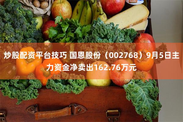 炒股配资平台技巧 国恩股份（002768）9月5日主力资金净卖出162.76万元