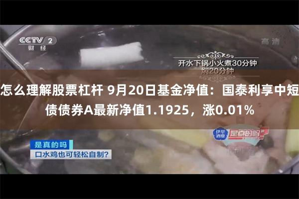 怎么理解股票杠杆 9月20日基金净值：国泰利享中短债债券A最新净值1.1925，涨0.01%