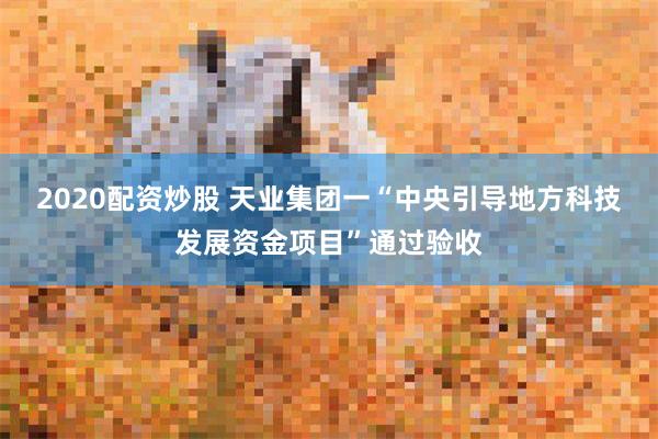 2020配资炒股 天业集团一“中央引导地方科技发展资金项目”通过验收