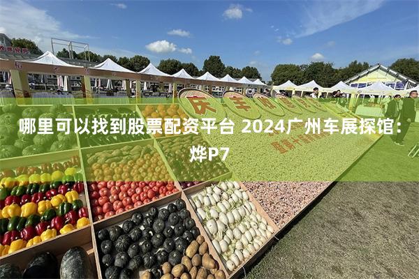 哪里可以找到股票配资平台 2024广州车展探馆：烨P7