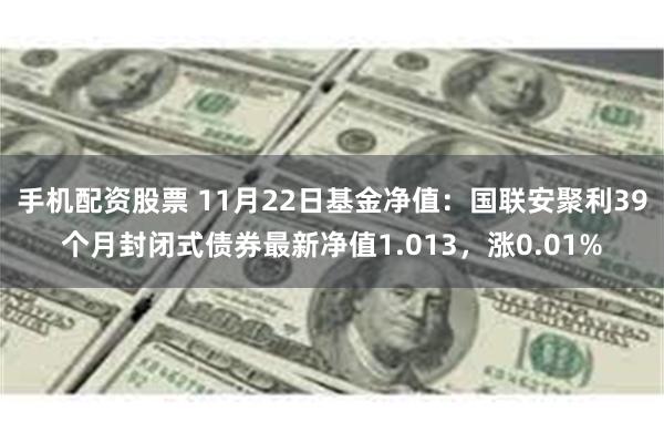 手机配资股票 11月22日基金净值：国联安聚利39个月封闭式债券最新净值1.013，涨0.01%