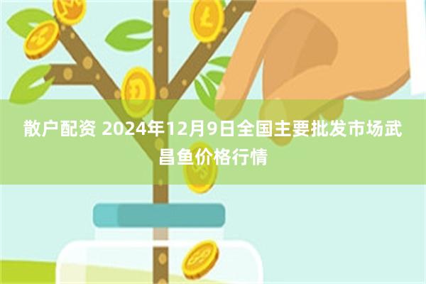 散户配资 2024年12月9日全国主要批发市场武昌鱼价格行情