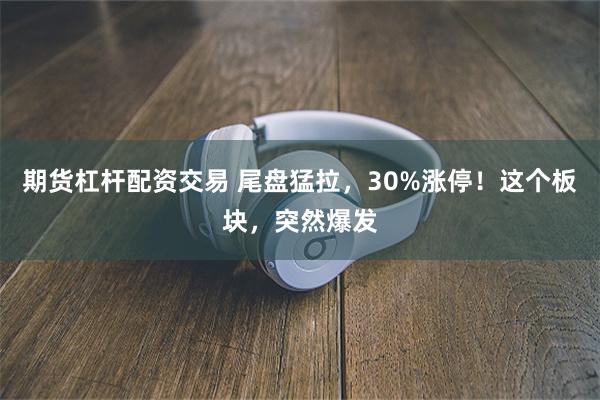 期货杠杆配资交易 尾盘猛拉，30%涨停！这个板块，突然爆发