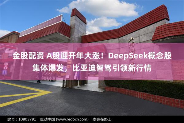 金股配资 A股迎开年大涨！DeepSeek概念股集体爆发，比亚迪智驾引领新行情